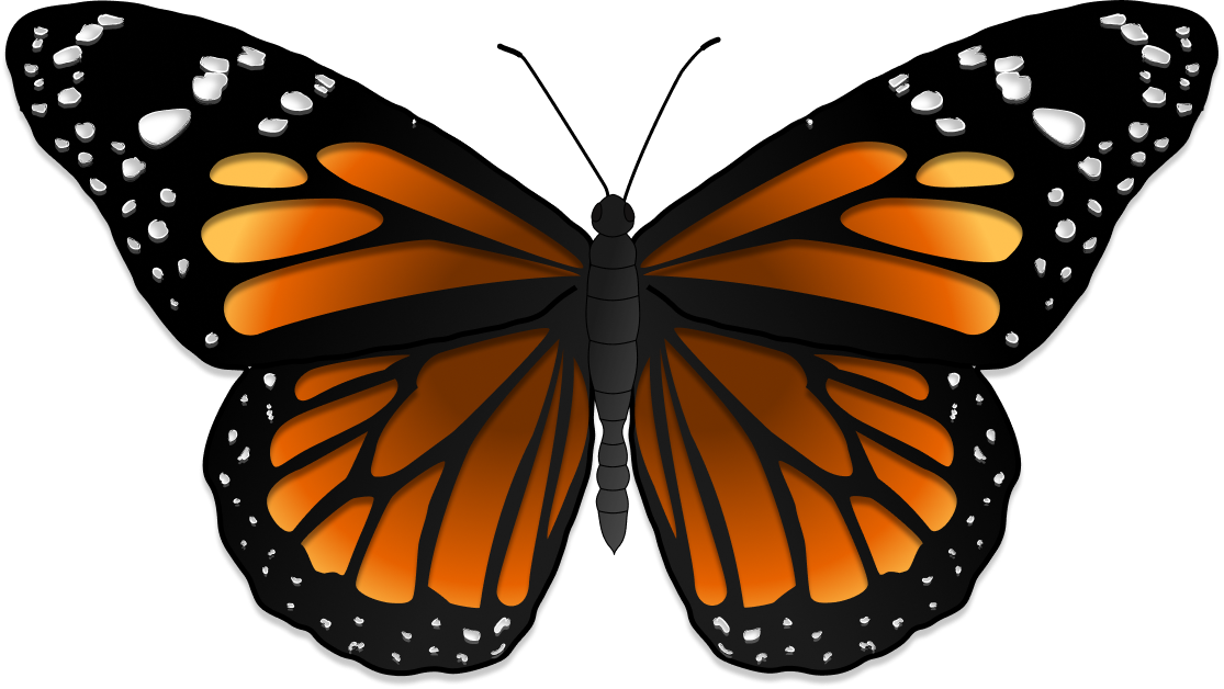webpage logo